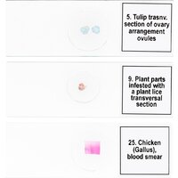 Levenhuk Discovery Prof DPS 25. «Биология, Птицы и др.» 78415 Image #8