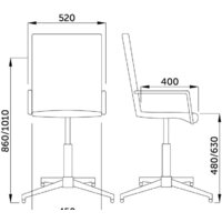 AksHome Rosio 2 (салатовый) Image #2