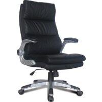 Brabix Fregat EX-510 (черный) Image #3