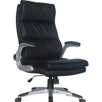 Brabix Fregat EX-510 (черный)