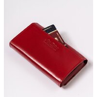 Peterson PTN 438 2-3-1-5989 (красный) Image #12