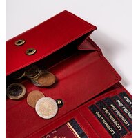 Peterson PTN 438 2-3-1-5989 (красный) Image #9