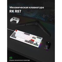 Royal Kludge RK-R87 RGB (белый, RK Brown) Image #9