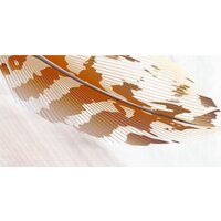 ФабрикаФресок Стильные светлые перья 823270 (300x270) Image #2