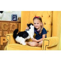 Hansa Сreation Кошка черно-белая 4221 (40 см) Image #16