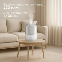 Redmond (Редмонд) HF2204 Image #2