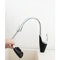 Potato P4078-6 Image #4