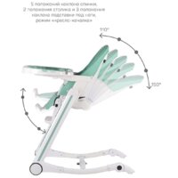 Farfello Bonitta (вечнозеленый) Image #2