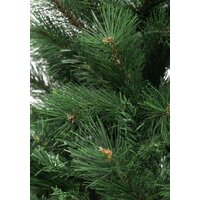 Winter Time XCD06-745T 1.8 м Image #3