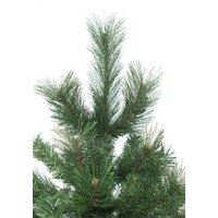 Winter Time XCD06-745T 1.8 м Image #5