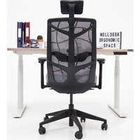 WellDesk WDЕ Uplift 1395x800х28 (черный/ясень шимо) Image #8