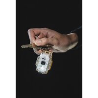 Armytek Crystal (желтый) Image #11