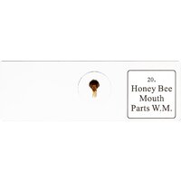 Bresser «Животные», 30 шт., в кейсе 74559 Image #6