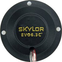 Skylor EVO6.3C Image #23