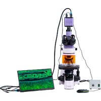 Magus Lum D400L LCD 83019 Image #5