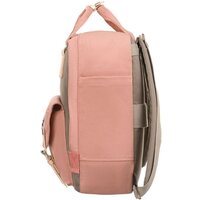 Peterson PTN 2023-5 (серый/розовый) Image #3