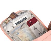 Peterson PTN 2023-5 (серый/розовый) Image #9