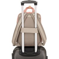 Peterson PTN 2023-5 (серый/розовый) Image #12