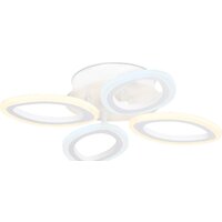 Ambrella light Acrylica FA4485