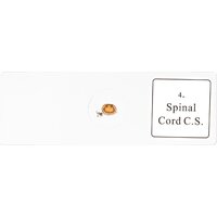 Bresser «Гистология», 30 шт., в кейсе 74558 Image #6