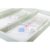 Bresser «Гистология», 30 шт., в кейсе 74558 Image #4