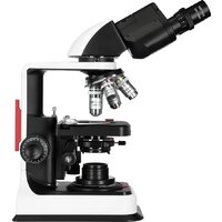 Levenhuk 450B бинокулярный 84462 Image #4