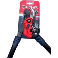 Okinawa 2342 Image #2