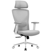 Evolution ErgoLine 2 (серый)