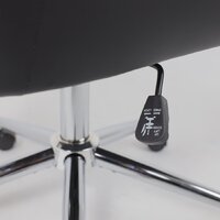 AksHome Bella XL chrome (Pegasso черный) Image #13