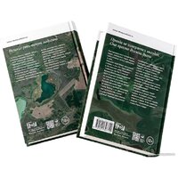 Альпина Диджитал. Тобол (Иванов А.) Image #8