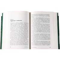 Альпина Диджитал. Тобол (Иванов А.) Image #3