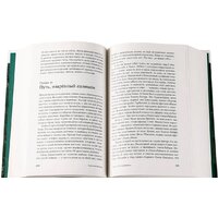 Альпина Диджитал. Тобол (Иванов А.) Image #4