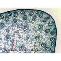 Bresser 50 шт., в кейсе 73766 Image #6