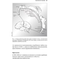 Альпина Диджитал. Будущее разума. Библиотека Сбербанка (Каку М.) Image #24