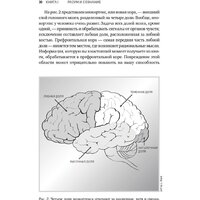 Альпина Диджитал. Будущее разума. Библиотека Сбербанка (Каку М.) Image #25