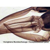 Bresser 100 шт., в кейсе 73765 Image #12