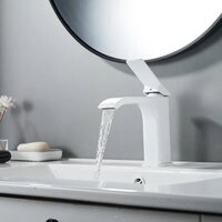 Shevanik S4001C Image #17