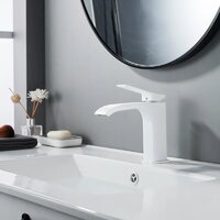 Shevanik S4001C Image #10