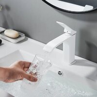 Shevanik S4001C Image #18