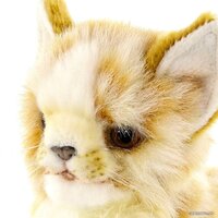 Hansa Сreation Котенок бежевый 7176 (19 см) Image #10