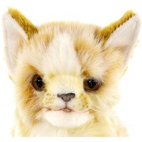 Hansa Сreation Котенок бежевый 7176 (19 см) Image #9