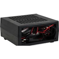 Вымпел 100 Image #2