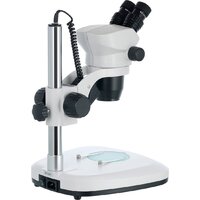 Levenhuk ZOOM 1B бинокулярный 76056 Image #4