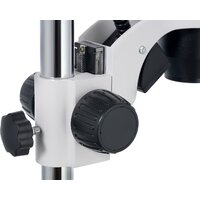 Levenhuk ZOOM 1B бинокулярный 76056 Image #9