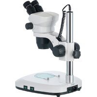 Levenhuk ZOOM 1B бинокулярный 76056 Image #5