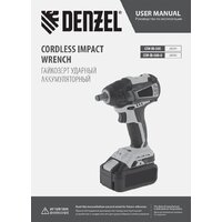 Denzel CIW-IB-300-0 26502 (без АКБ) Image #11