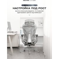 Evolution LX 3 Grey (серый) Image #6