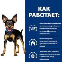 Hill's Prescription Diet Metabolic Mini коррекция веса 605947 3 кг Image #5