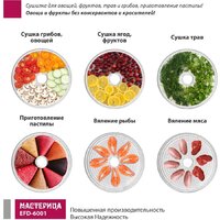 Мастерица EFD-6001 Image #5