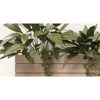 ФабрикаФресок Абстракция. Полки с Растениями 1153270 (300x270) Image #2